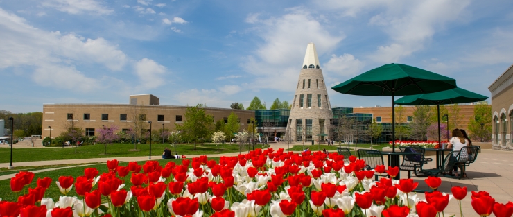 View of the UC with tulips in bloom